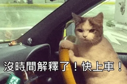 巴哥網路行銷司機要發車囉