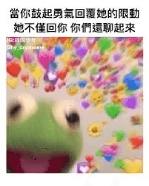 IG的美